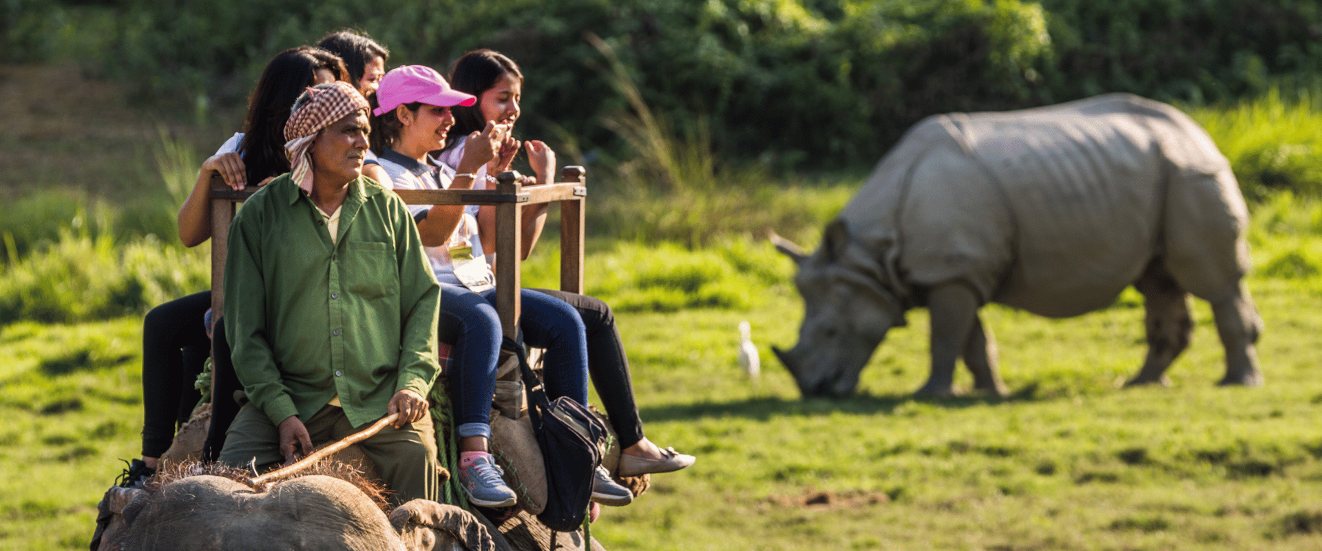 Chitwan Wildlife Tour